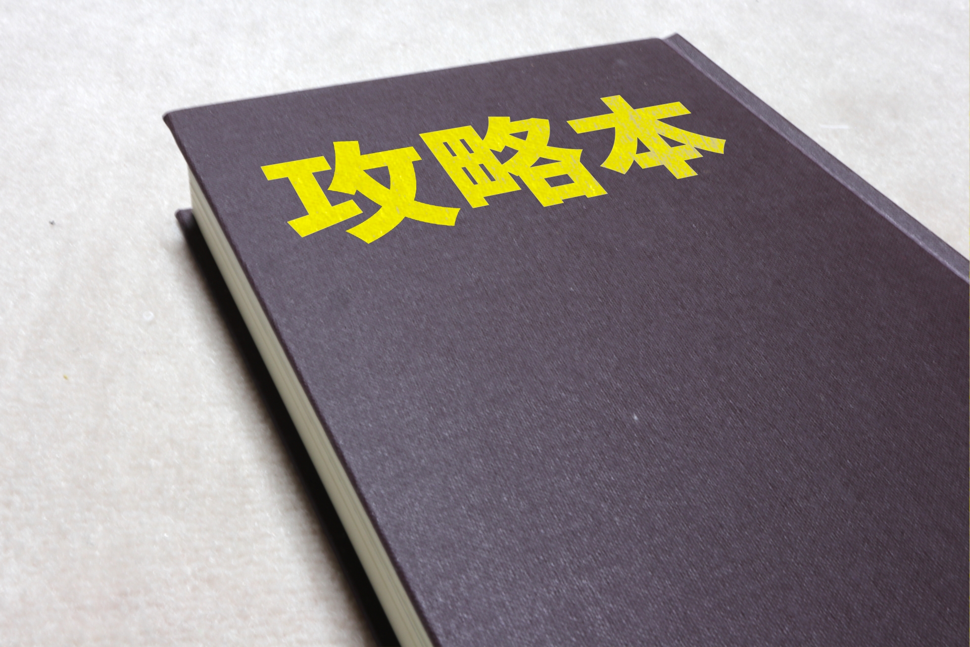攻略本の写真